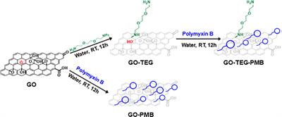 Polymyxin B complexation enhances the antimicrobial potential of graphene oxide